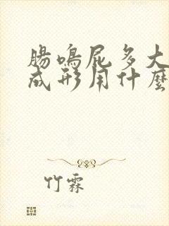 肠鸣屁多大便不成形用什么药