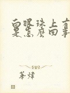 白眼珠上有黄斑是怎么回事