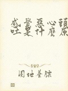 感觉恶心头晕想吐是什么原因引起的