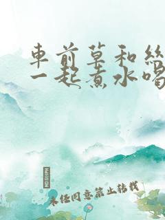 车前草和丝瓜络一起煮水喝有什么功效