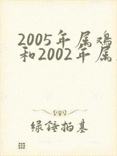 2005年属鸡和2002年属马姻缘怎么样