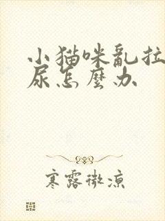 小猫咪乱拉屎拉尿怎么办