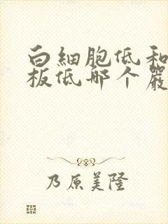 白细胞低和血小板低哪个严重