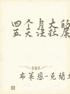 四个月大的婴儿五天没拉屎怎么办