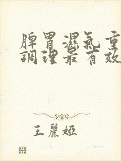 脾胃湿气重怎么调理最有效