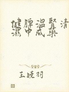 健脾温肾清热祛湿中成药