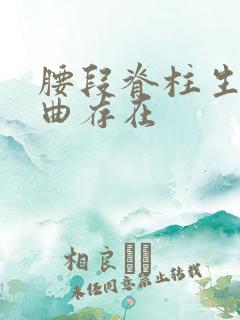 腰段脊柱生理弯曲存在