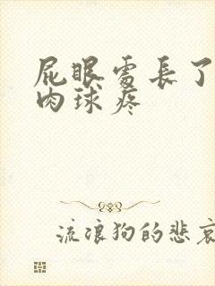 屁眼处长了一个肉球疼