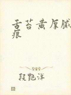 舌苔黄厚腻有齿痕