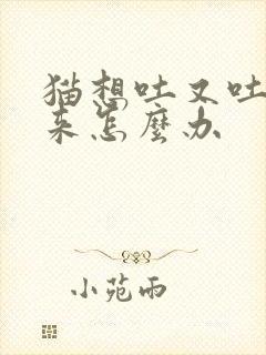 猫想吐又吐不出来怎么办