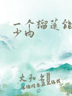 一个榴莲能出多少肉