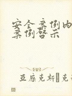 安全案例内容和案例启示