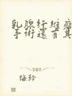 乳腺纤维瘤除了手术还有其他治疗吗