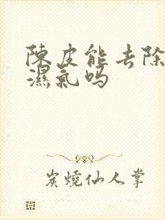 陈皮能去除体内湿气吗