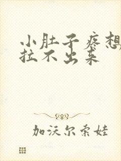 小肚子疼想拉屎拉不出来