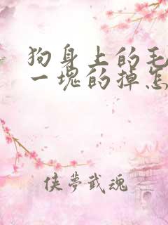 狗身上的毛一块一块的掉怎么办