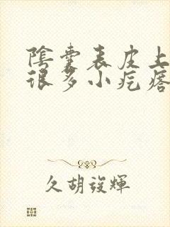 阴囊表皮上长了很多小疙瘩不痛不痒