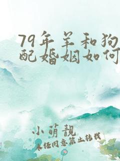 79年羊和狗相配婚姻如何