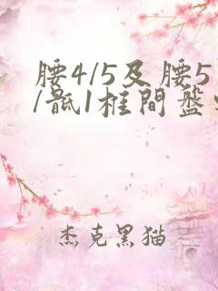 腰4/5及腰5/骶1椎间盘轻度突出