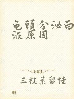 龟头分泌白色脓液原因