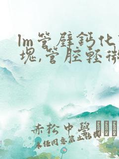 lm管壁钙化斑块,管腔轻微狭窄