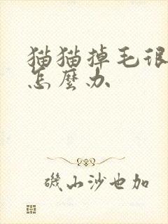 猫猫掉毛很严重怎么办