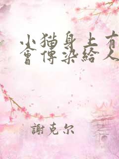 小猫身上有虫子会传染给人么