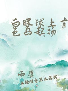 白眼球上有透明色凸起物