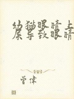 幼猫眼睛上有眼屎导致眼睛睁不开