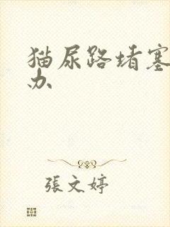 猫尿路堵塞怎么办