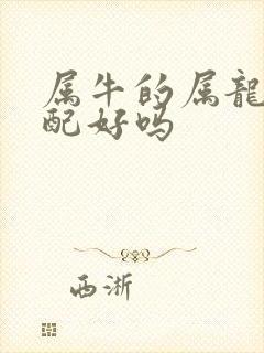 属牛的属龙的婚配好吗