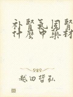 补肾气固肾精吃什么中药材