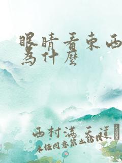 眼睛看东西模糊为什么