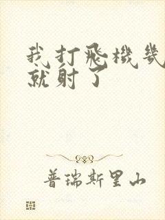 我打飞机几分钟就射了