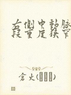 右侧中动脉m1段重度狭窄