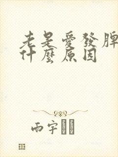 老是爱发脾气是什么原因