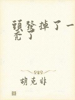 头发掉了一小块秃了