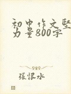 初中作文坚持的力量800字