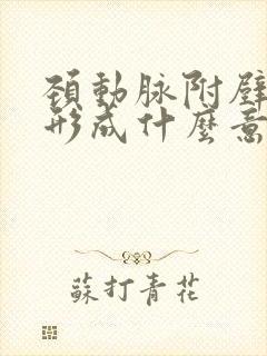 颈动脉附壁斑块形成什么意思