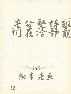 老公坚持离婚我们在冷静期怎么办