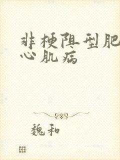 非梗阻型肥厚性心肌病