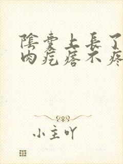 阴囊上长了一个肉疙瘩不疼不痒