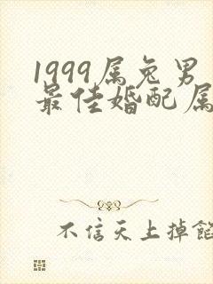 1999属兔男最佳婚配属相