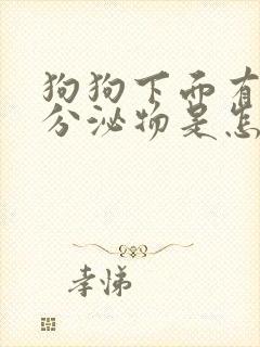 狗狗下面有白色分泌物是怎么回事