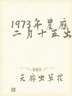 1973年农历二月十五出生的财运如何
