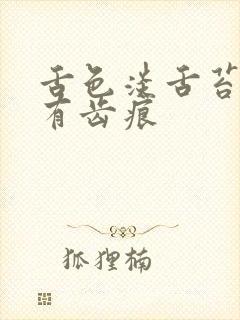 舌色淡舌苔厚白有齿痕