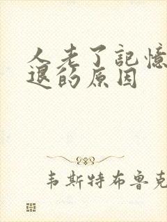 人老了记忆力减退的原因