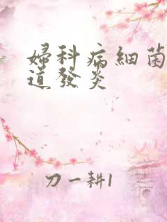 妇科病细菌性阴道发炎