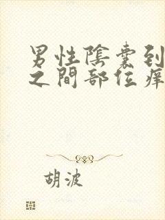 男性阴囊到肛门之间部位痒疼怎么回事?