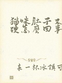 猫咪肚子又大又硬怎么回事